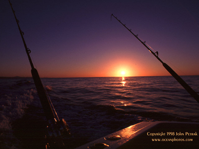 Your Free Windows Wallpaper / Screenpaper is Loading Here!